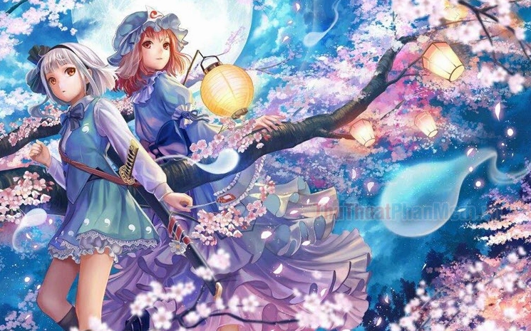 Anime phong cảnh hoa anh đào đêm: Vẻ đẹp huyền ảo mê hoặc