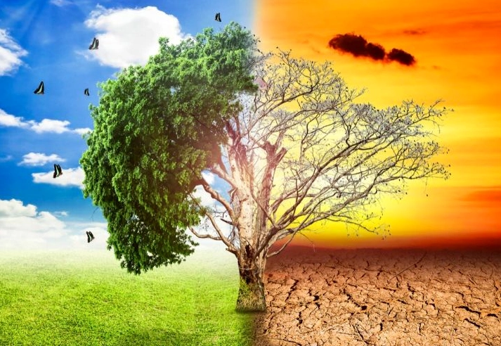 Cách phòng ngừa thời tiết thất thường ảnh hưởng sức khỏe năm 2026