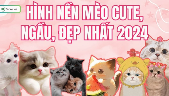 Khám phá BST ảnh mèo cute anime độc đáo làm avatar, hình nền 2026