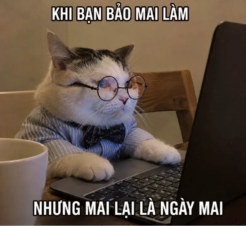 meme công nghệ hài hước ứng dụng về quản lý dự án