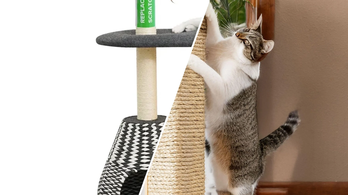 Sustainable cat scratching posts and luxury feline furniture in 2026